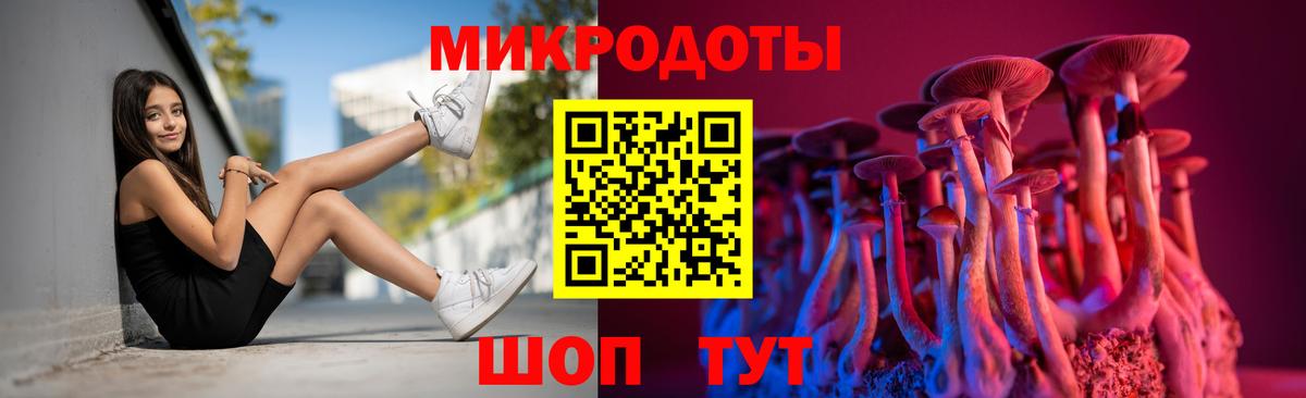 Псилоцибиновые грибы ЛСД Алексеевка